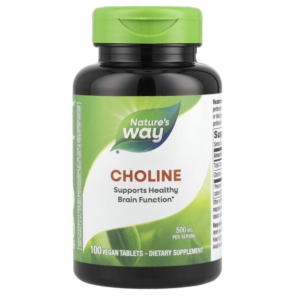 Nature's Way Choline 500 mg 100 Vegan Tablets