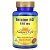 Nature's Life Betaine Hcl 648 mg 100 Capsules