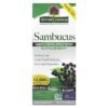 Nature's Answer Sambucus Black Elderberry Alcohol-Free 12000 mg 480ml
