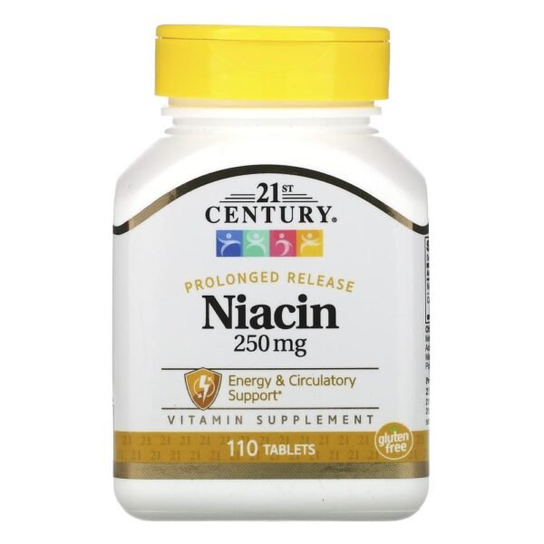 21st Century Niacin Prolonged Release 250 mg 110 Tablets
